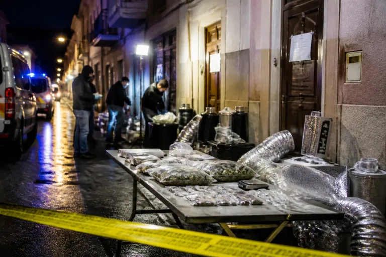 La Policía Nacional desarticula una red de tráfico de drogas en el Camp de Morvedre