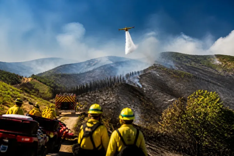 La provincia de León mantiene la vigilancia tras días de intensos incendios en el Bierzo