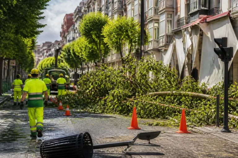 La tormenta de la tarde deja más de 50 avisos y árboles y toldos derribados en Valladolid