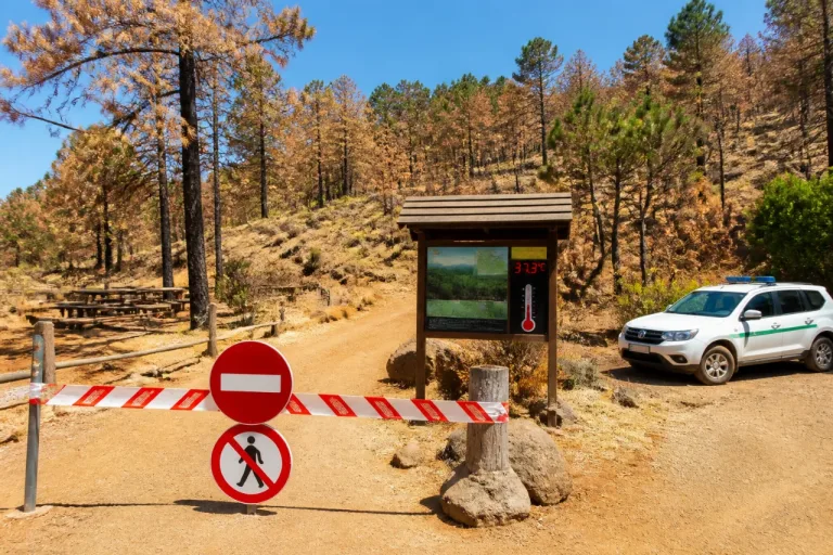 Tenerife cierra montes y prohíbe actividades al aire libre por ola de calor de 37,3 ºC