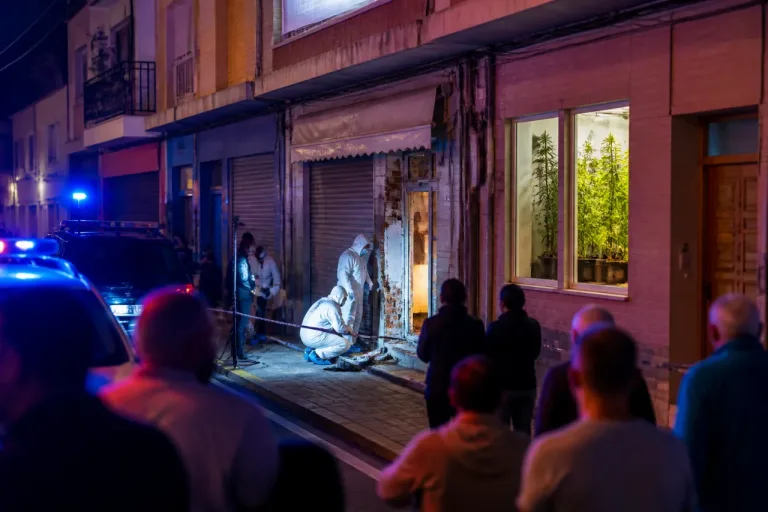 Once detenidos en Molina de Segura tras robos y un cultivo de marihuana en una misma noche
