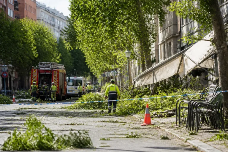 Rachas de viento obligan al 112 a gestionar 56 incidentes en Valladolid y provincia