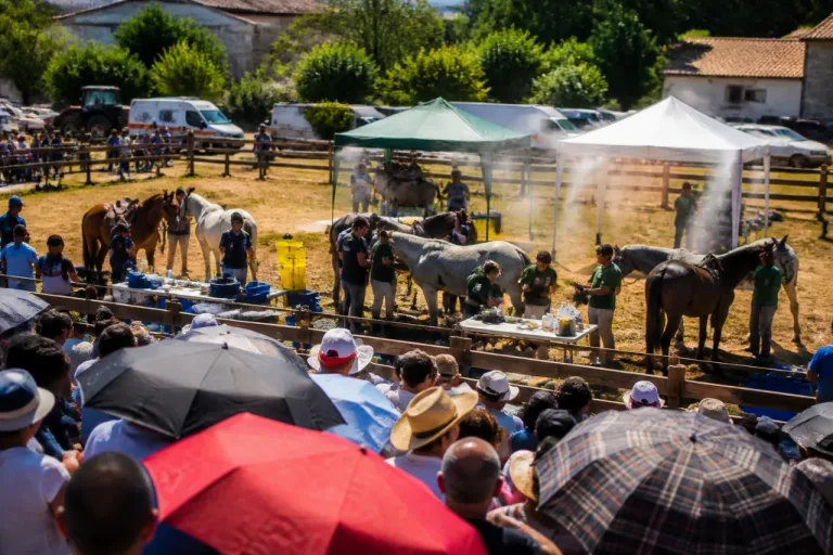 Sabucedo mantiene la Rapa das Bestas pese a la ola de calor y reúne a miles de asistentes