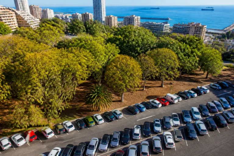 Santa Cruz de Tenerife: La Salud se parte entre 80 plazas de aparcamiento y sus árboles