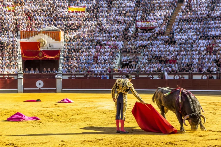 Sergio Rollón y la final del Circuito de Novilladas dejan huella en Madrid