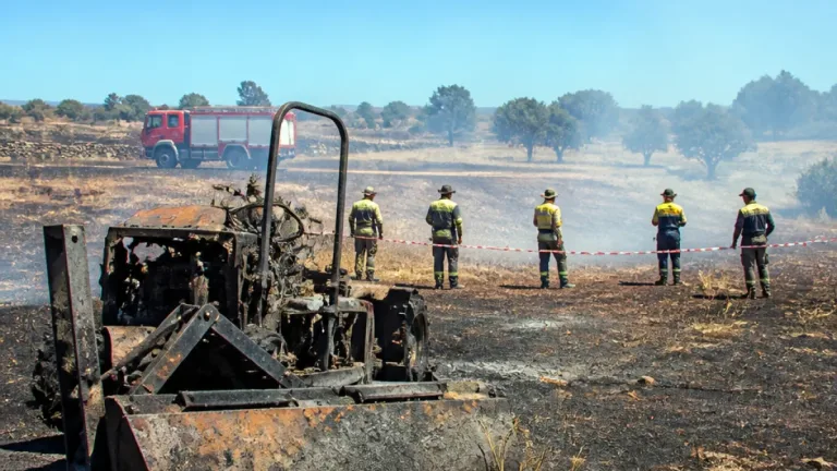Tres incendios controlados en Zamora dejan 5,17 hectáreas calcinadas, el mayor en Tardobispo