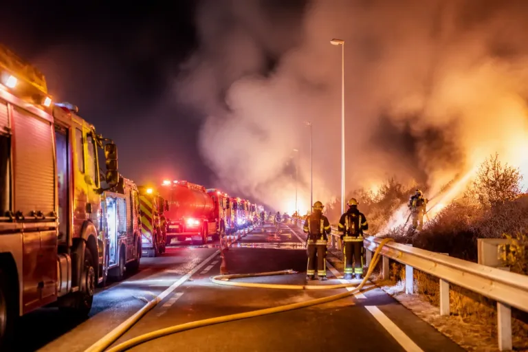 Un incendio forestal cruzó la A-381 y movilizó a bomberos de cuatro parques en Medina