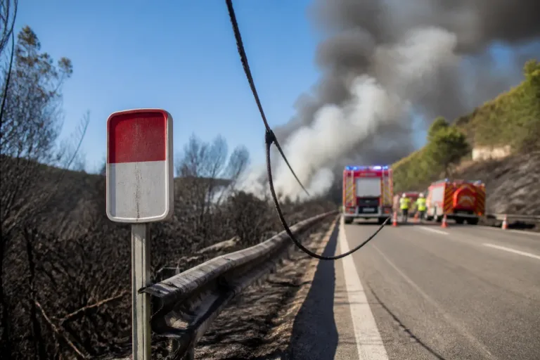Un tendido eléctrico se perfila como origen del incendio en Los Gallardos que ha causado doce muertos