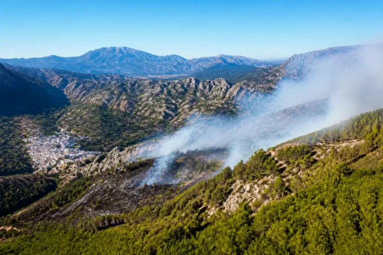 Un trabajador investigado por el incendio que ha afectado al Parque Natural de la Sierra de Grazalema