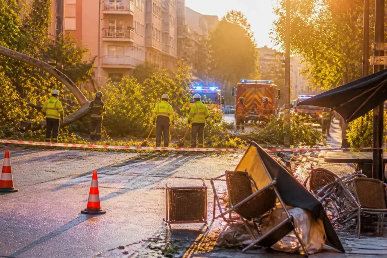 Un vendaval deja 56 avisos por árboles y objetos caídos en Valladolid y la provincia