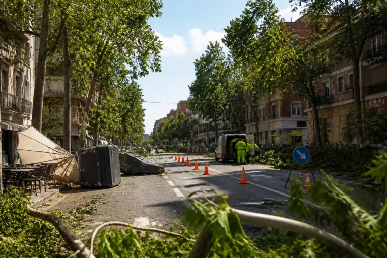 Un vendaval provoca decenas de incidencias en Valladolid y deja vías cortadas y árboles caídos