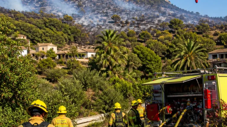 Varios conatos de incendio en la provincia reactivan la alarma por la falta de gestión del monte