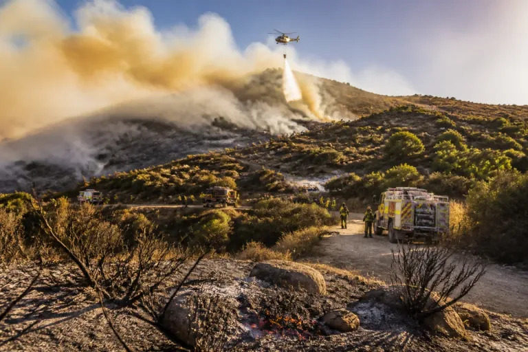Varios incendios dejan más de 200 hectáreas quemadas en La Rioja; uno sigue activo en Ayabarrena