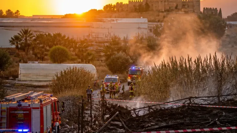 Vélez-Málaga investiga varios incendios en distintos puntos del municipio