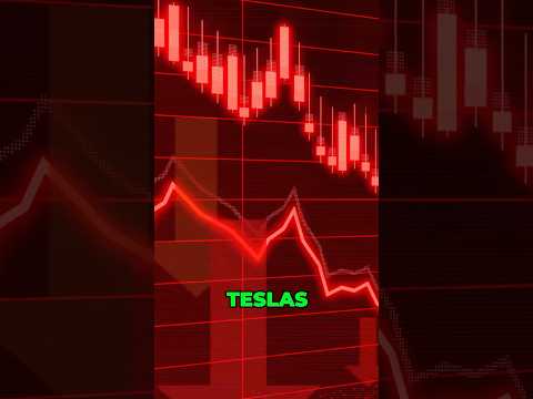 Is Tesla&#039;s Popularity REALLY Political? Here&#039;s Who Drives Teslas.